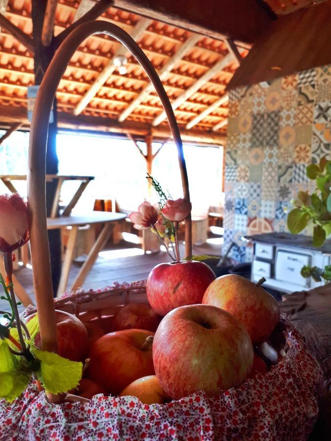 Fazenda Invernada Grande Turismo Rural Bom Jardim da Serra Eksteriør billede