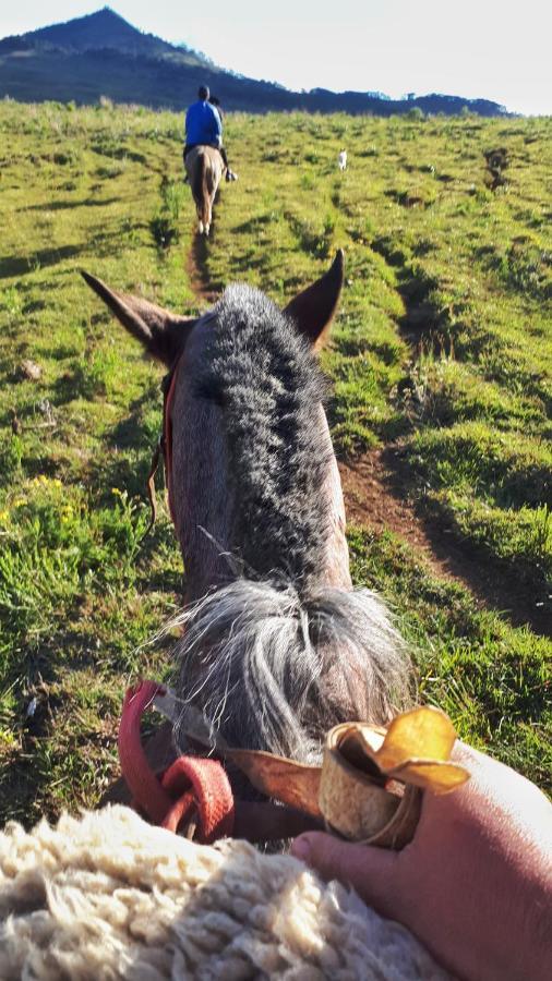 Fazenda Invernada Grande Turismo Rural Bom Jardim da Serra Eksteriør billede