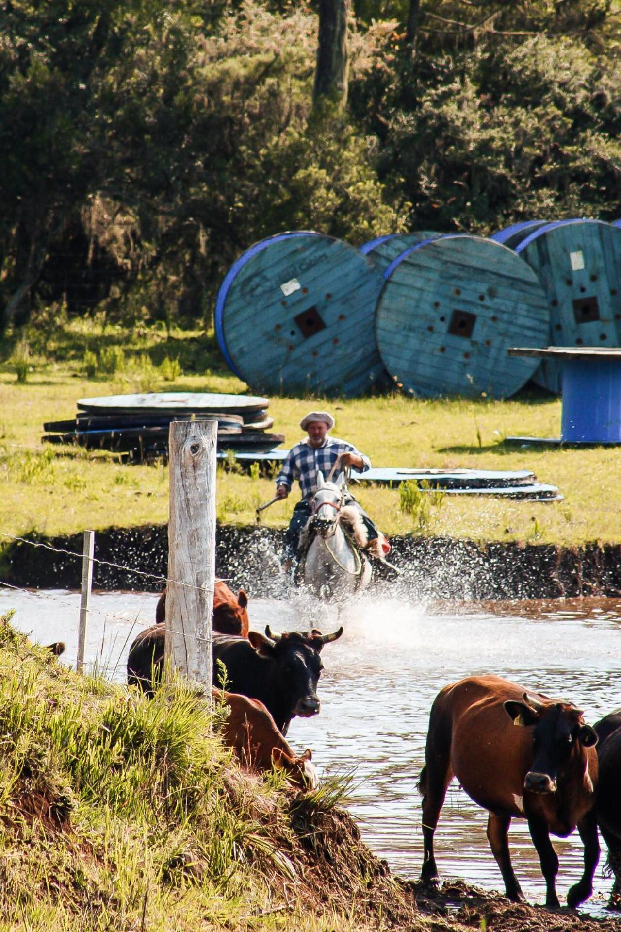 Fazenda Invernada Grande Turismo Rural Bom Jardim da Serra Eksteriør billede
